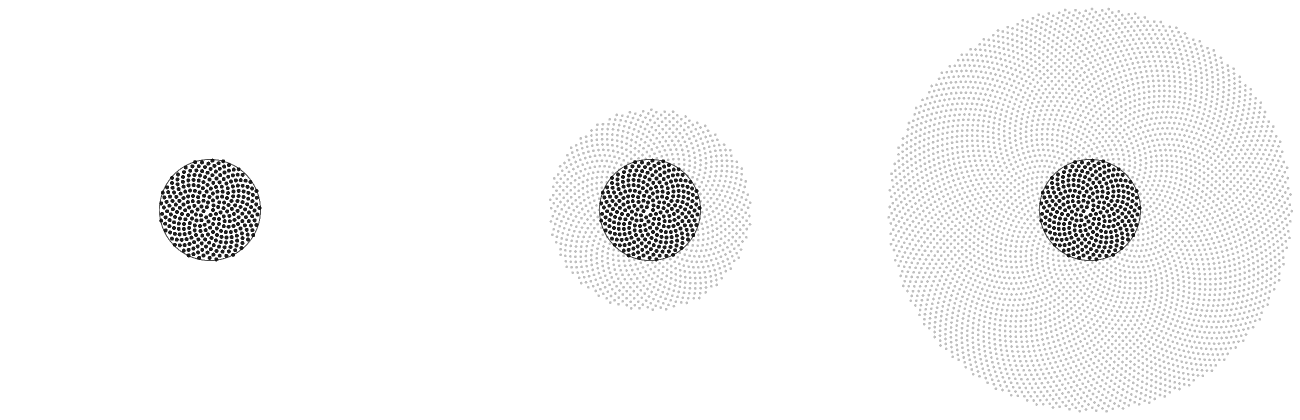 Three sunflower discs at increasing seed counts, drawn at one scale, with the first three hundred seeds drawn heavy and identical in all three